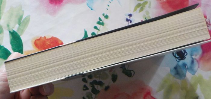 Le silence des loups de Eric Robinne Ed. Nouvelles Plumes - photo numéro 4