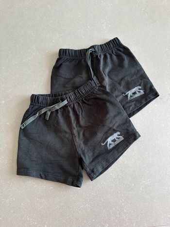 Lot de deux shorts