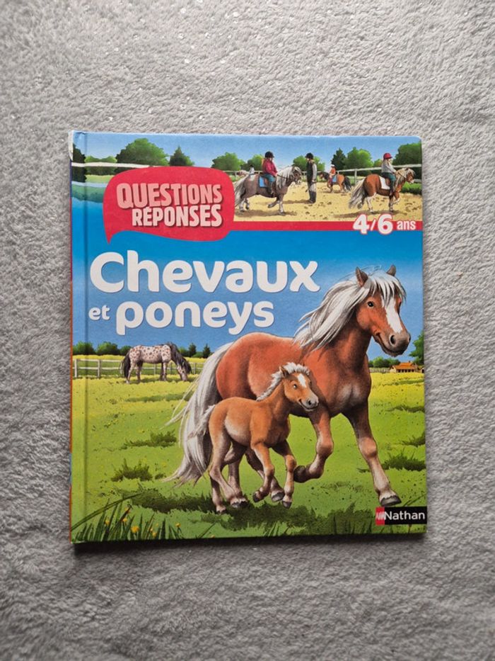 Livre questions réponses Cheveaux et poneys