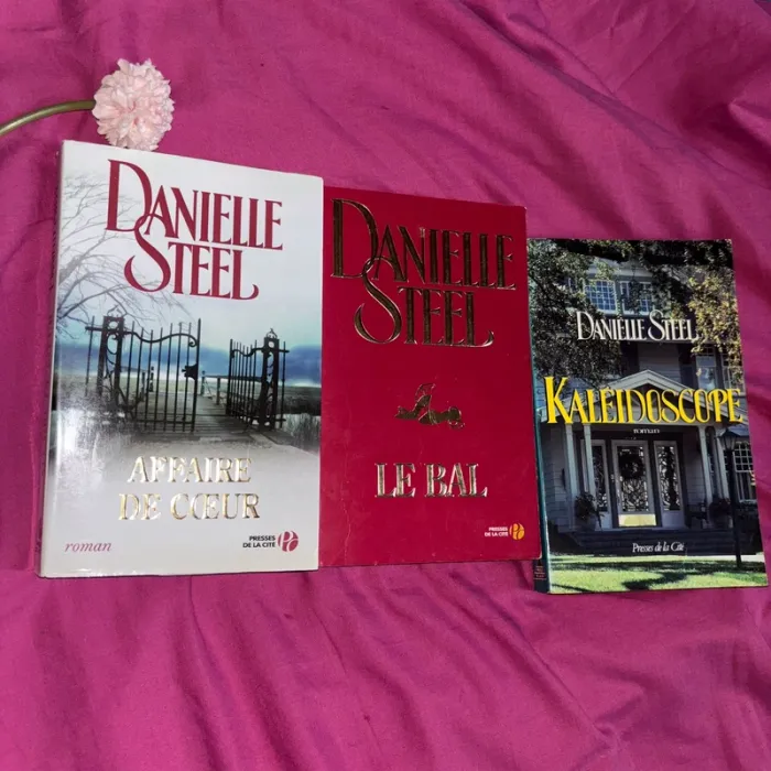 Lot brochet Danielle steel