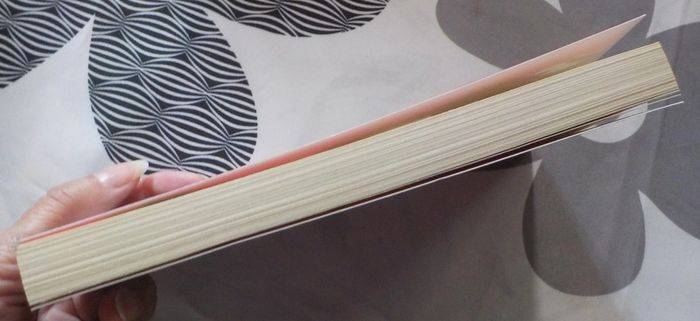 Beautiful bitch de Christina Lauren Ed. Hugo - photo numéro 4