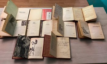 Lot de livres anciens
