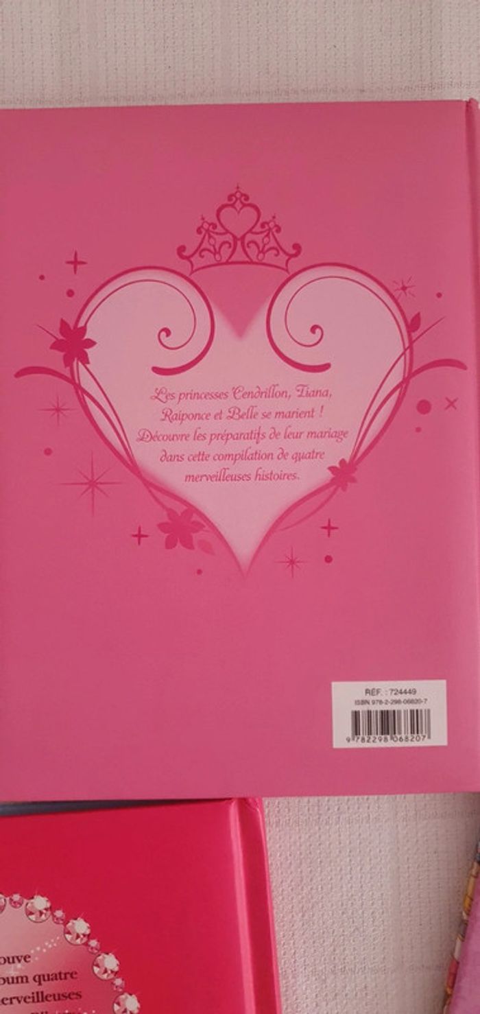Livres Princesses Disney Idéal cadeau de Noel Cherche et Trouve et histoires - photo numéro 10