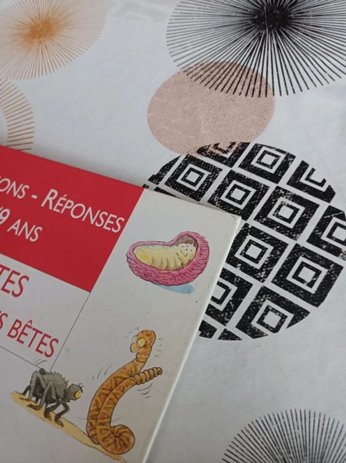Livre Questions - Réponses 6/9 ans_ Insectes et autres petites bêtes / Édition : Nathan en bon état - photo numéro 4