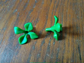 Playmobil 2 feuillages navet