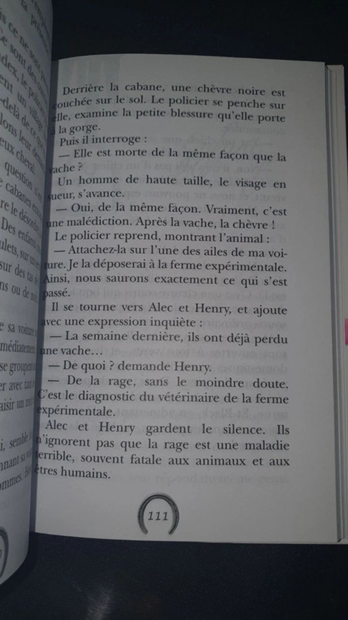 Flamme et l'Etalon noir - photo numéro 3