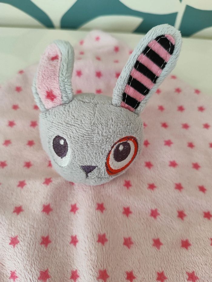 Doudou plat lapin kimadi - photo numéro 2