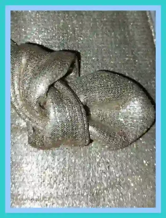 Ballerine dorée pailletée fille pointure 35  7563442709 - photo numéro 5