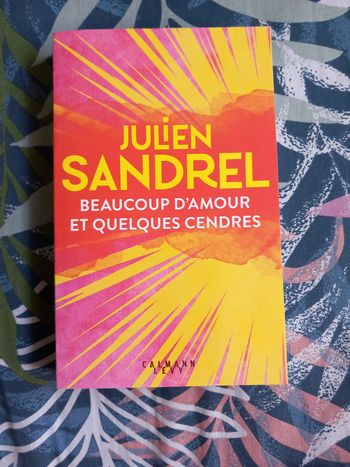 Julien Sandrel - Beaucoup de cendres et d'amour