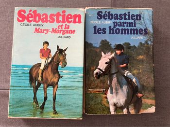 Livre: Sébastien parmi les hommes/Sébastien et la Mary-Morgane/ Cécile Aubry
