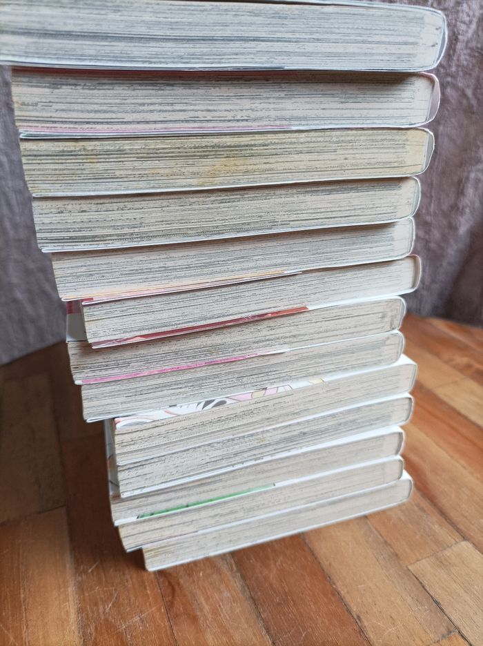 Lot de 13 mangas Takane et Hana numéro 1 à 13 Kaze - photo numéro 9