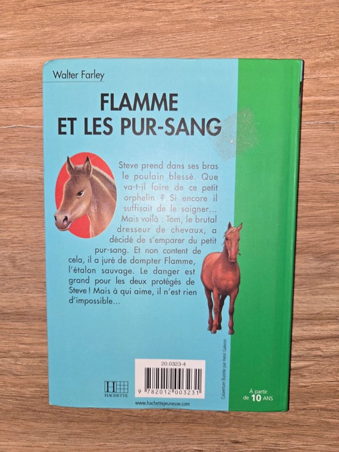 Livre " Flamme et les pur-sang" - photo numéro 2