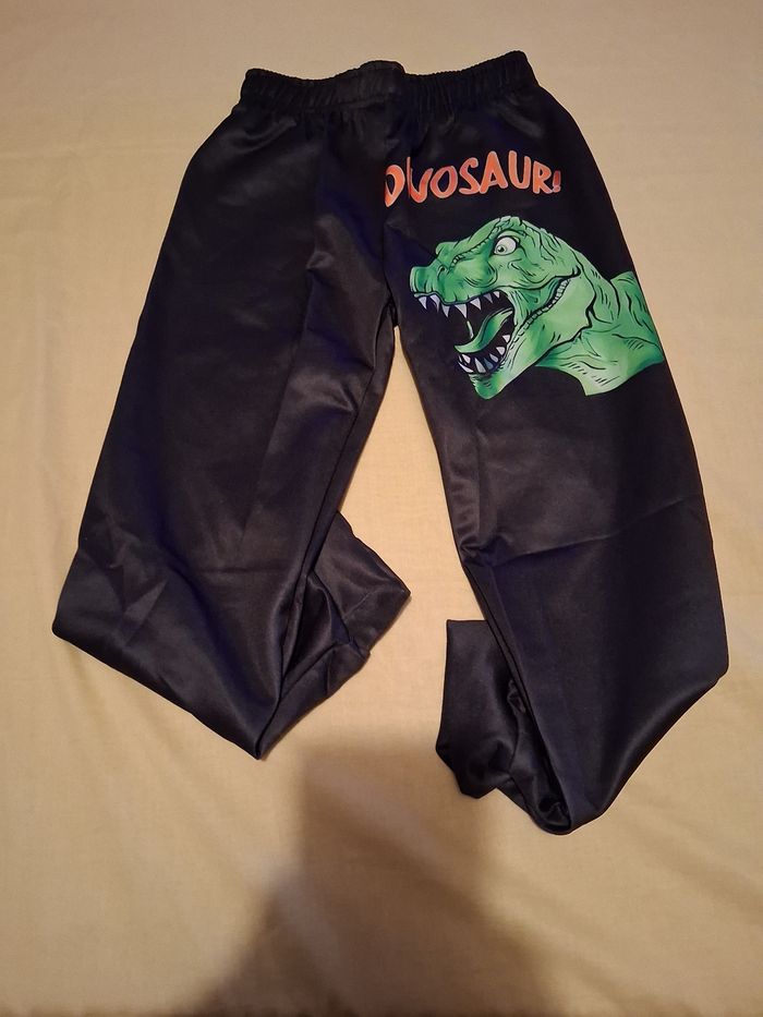 Ensemble dinosaure - photo numéro 2