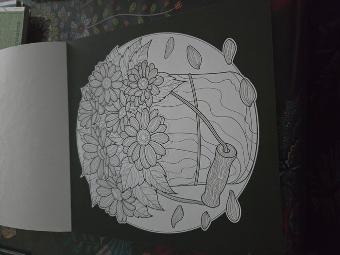 Coloriage Colour and relax - photo numéro 4