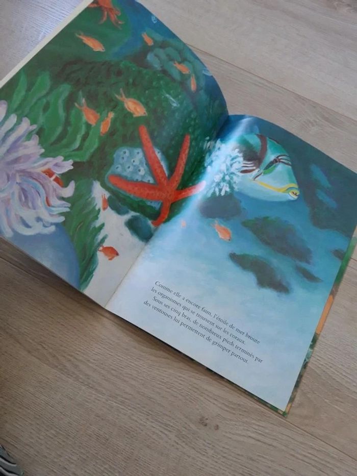 Une étoile est née - photo numéro 2