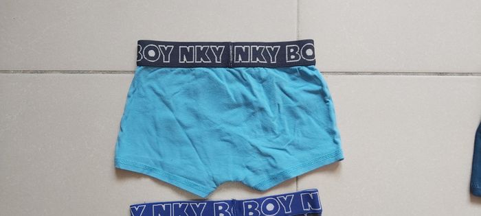 Boxer - photo numéro 6