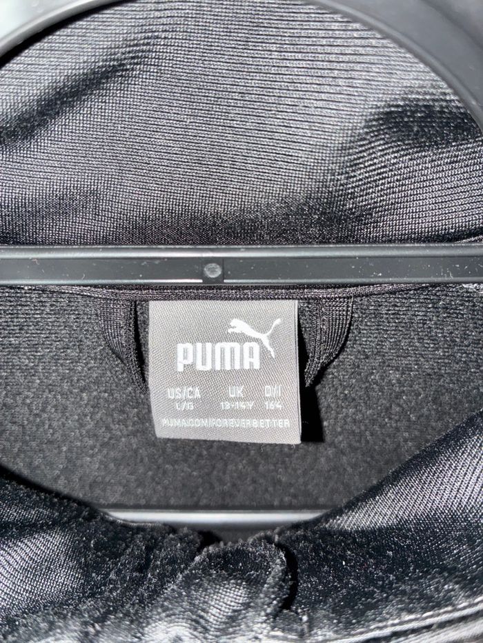 Ensemble puma - photo numéro 4