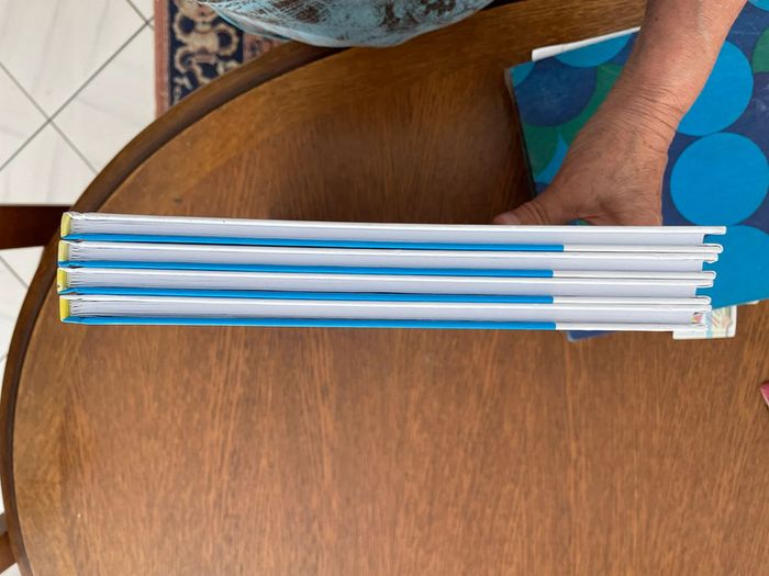 Lot de quatre BD Michel Vaillant - photo numéro 14