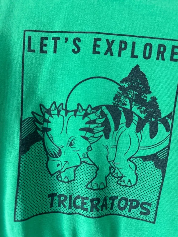 👕 Pull- sweat vert dinosaure - la halle - taille 4 ans - très bon état - photo numéro 3