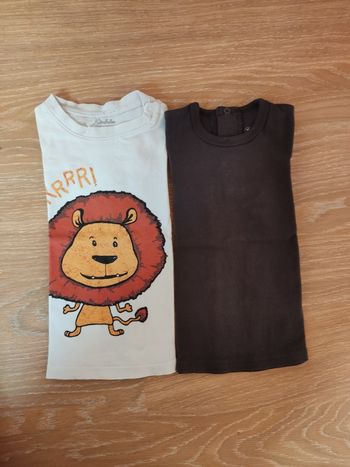 Lot tee-shirts manches courtes