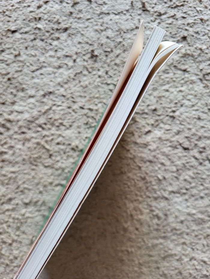 Livre Mouvement 5 Étoiles, pour une autre politique en Italie de Flora Zanichelli - photo numéro 3