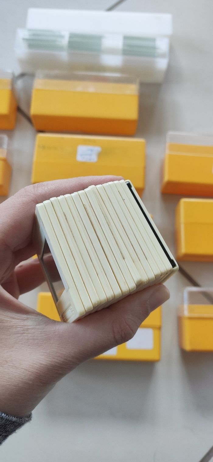 Lot diapositives - photo numéro 4