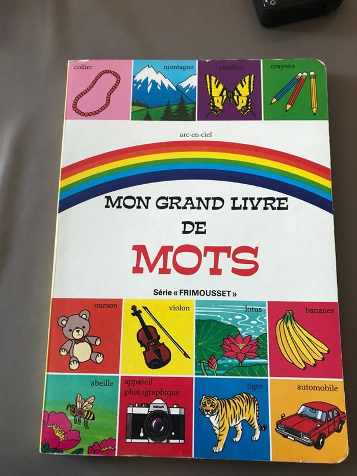 Livre Mon grand livre de mots