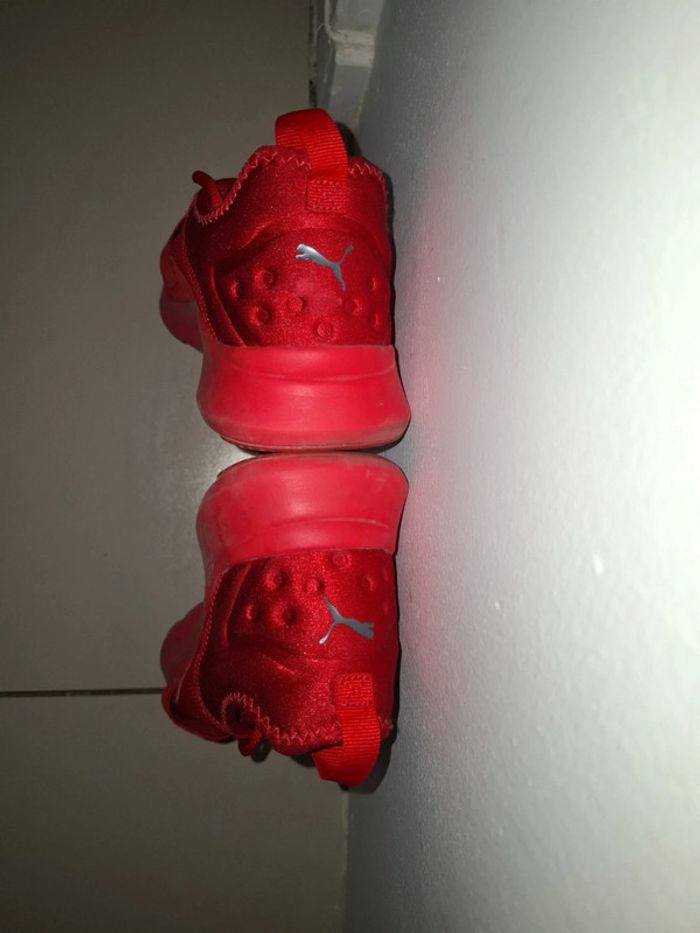 Puma 41 - photo numéro 3