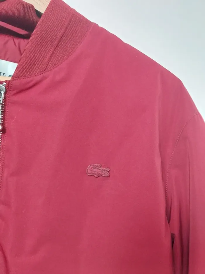 Bomber bordeaux Lacoste 38 - photo numéro 6