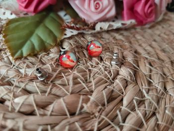 🌵Paire de boucle d'oreille flamand rose🌵