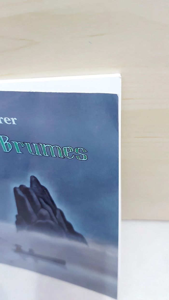 🌺 Livre (école des loisirs) : Maître des brumes - photo numéro 5