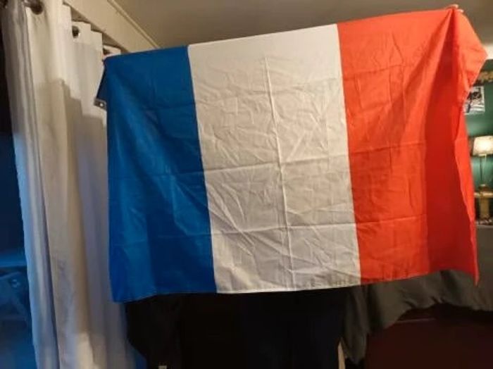 Drapeau bleu blanc rouge - photo numéro 3