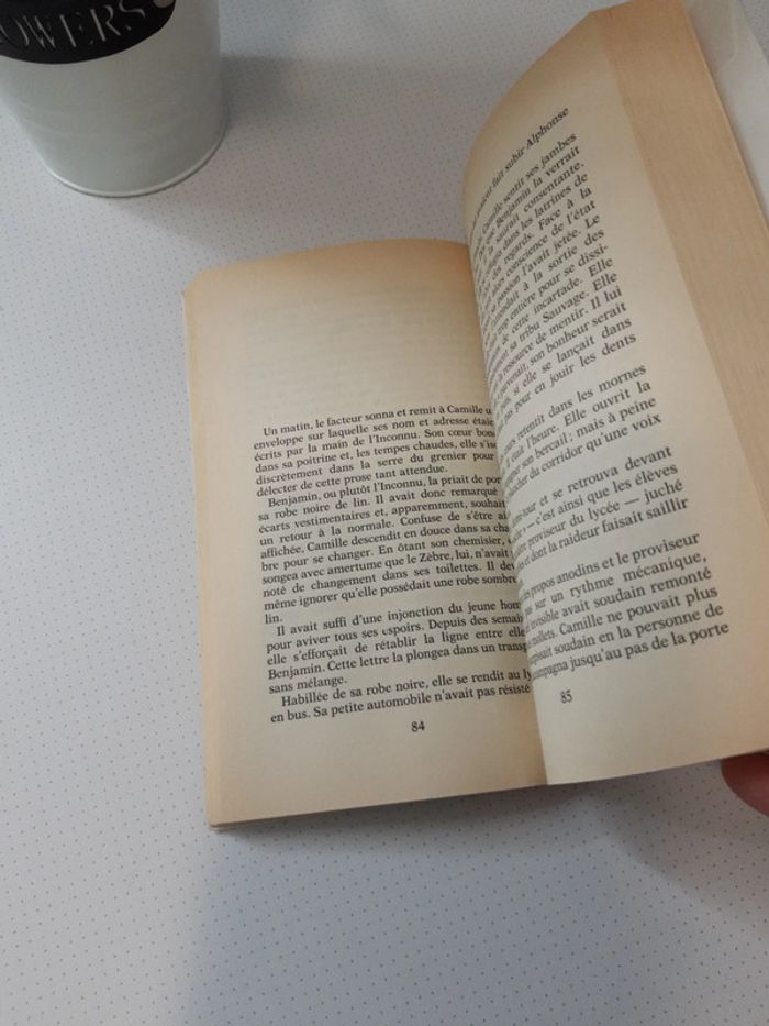 😺 livre le zèbre alexandre jardin 😺 - photo numéro 3