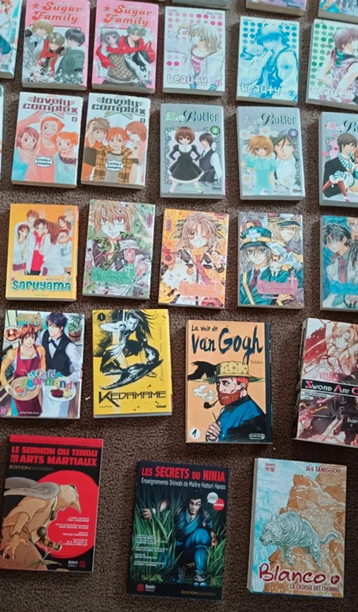 Manga attention bien lire l'annonce - photo numéro 6