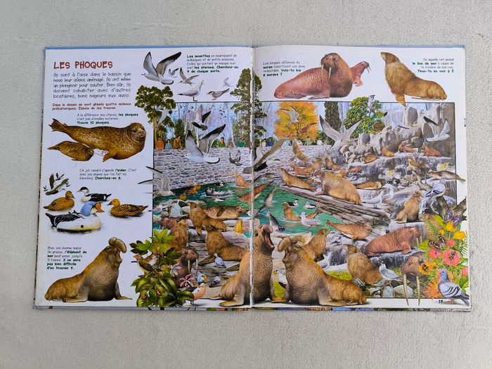 Livre Observe les animaux du zoo Piccolia - photo numéro 5