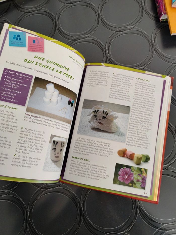 Livre d'expérience scientifique pour enfants - photo numéro 5