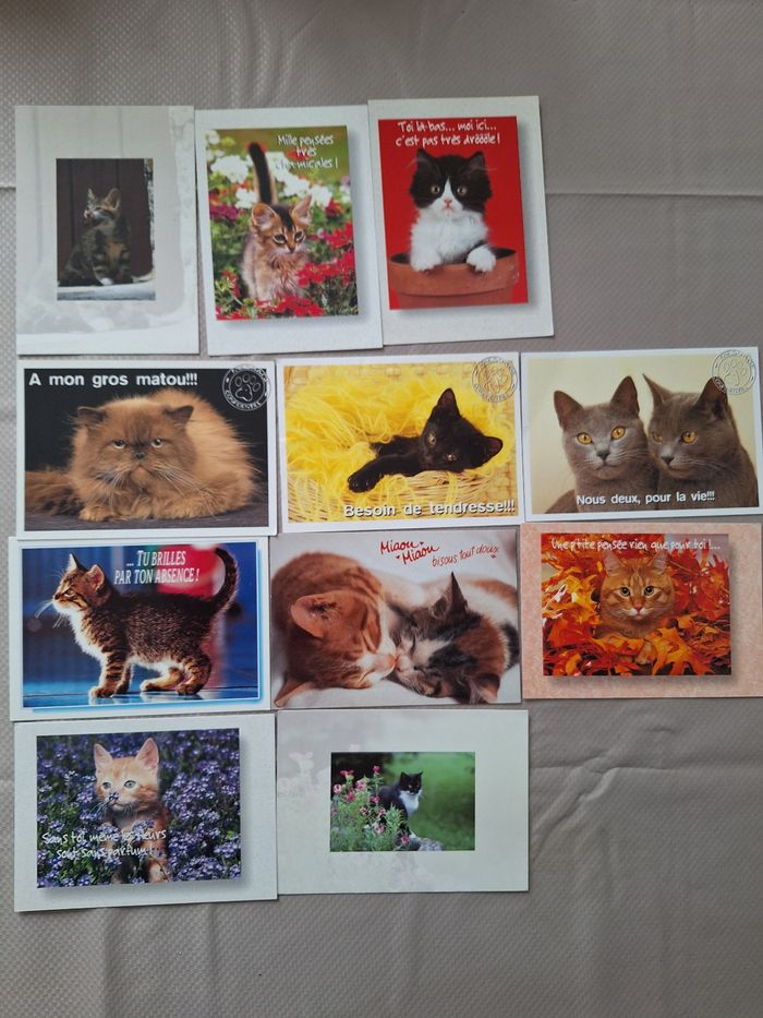 Lot de 66 cartes postales thème chats - photo numéro 4