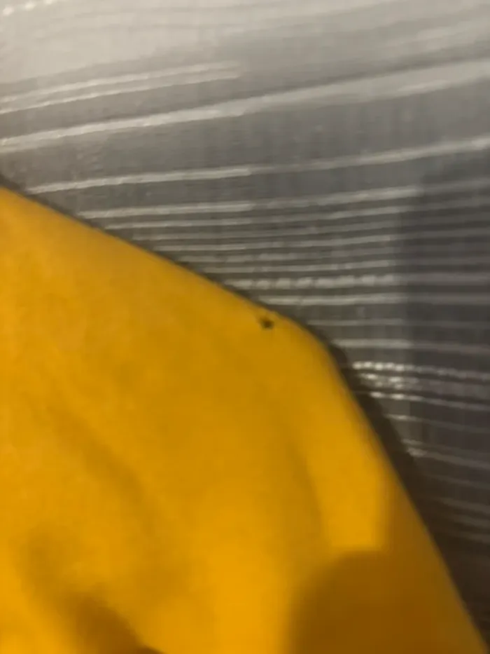 Sweat jaune - photo numéro 4