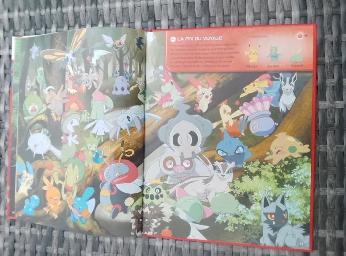Livre enfant - Cherche et Trouve - Pokémon à Hoenn - photo numéro 5