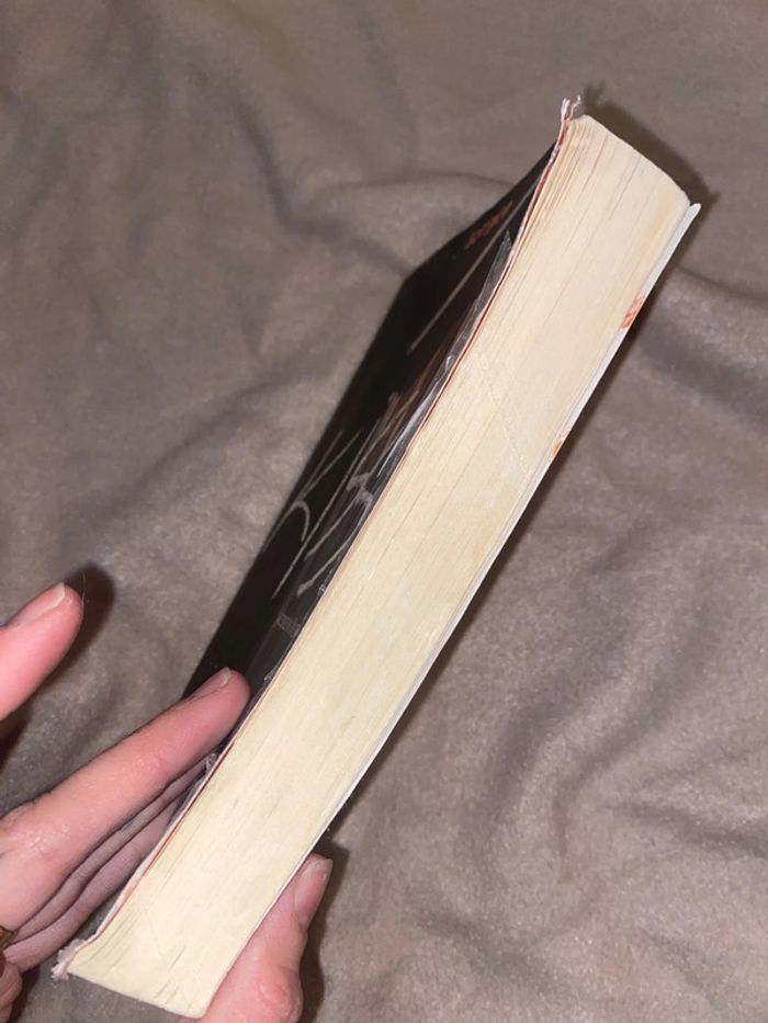Livre kiss - photo numéro 8