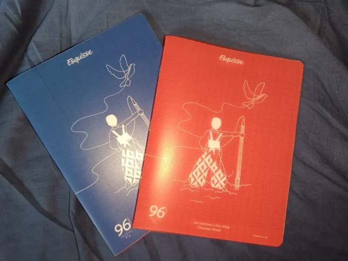2 cahiers 96 pages petit format
