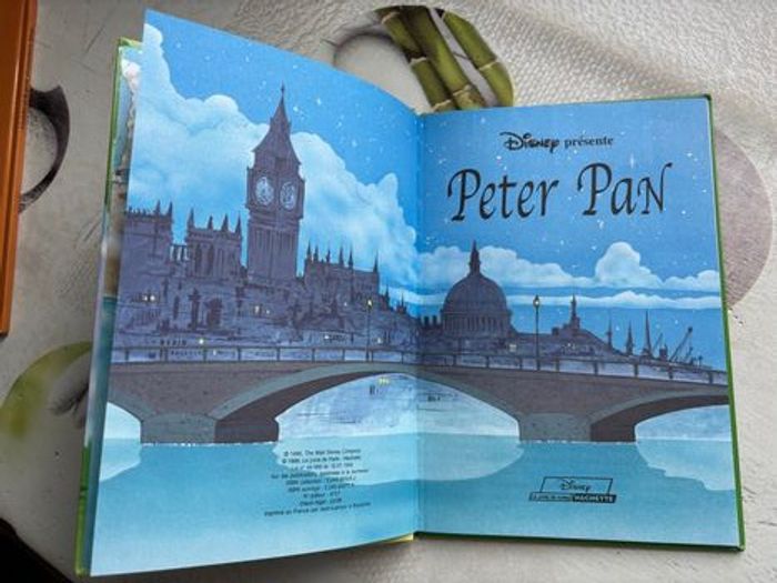 Livre Disney - photo numéro 2