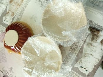 Lot de 3 grands coquilles saint jacques