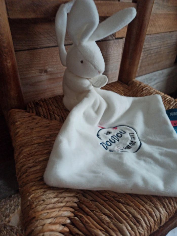 Doudou lapin doudou et Compagnie UNICEF tbe - photo numéro 5