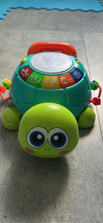 Jouer, tortue musicale