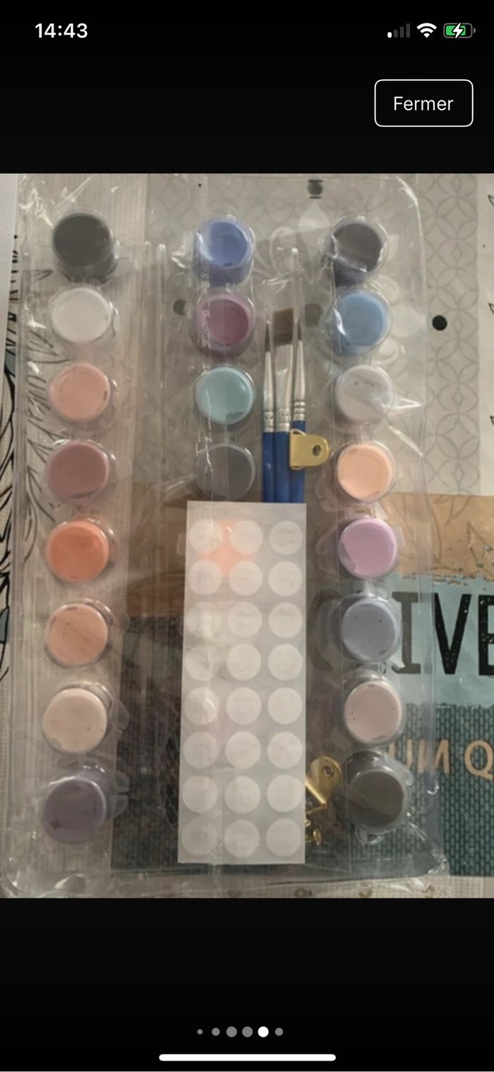 Kit complet de peinture par numéro - Neuf - photo numéro 6