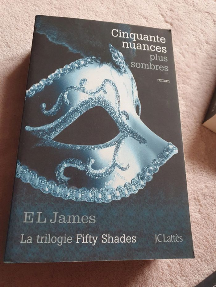 Cinquantes nuances de Grey ( les plus claires, les plus sombres) - photo numéro 3