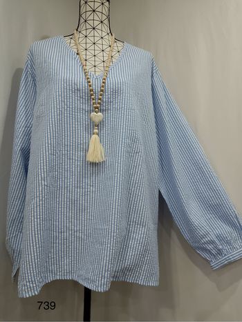 Blouse élégante rayée bleu et blanc grande taille – col en V chic, coupe fluide et allure professionnelle