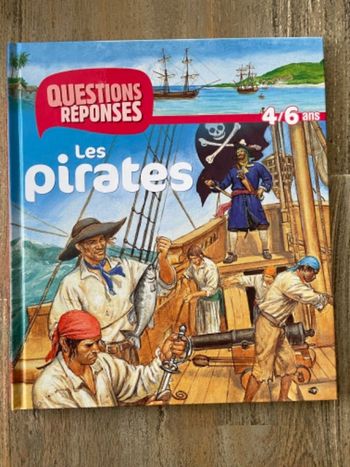 Questions-réponses - Les pirates