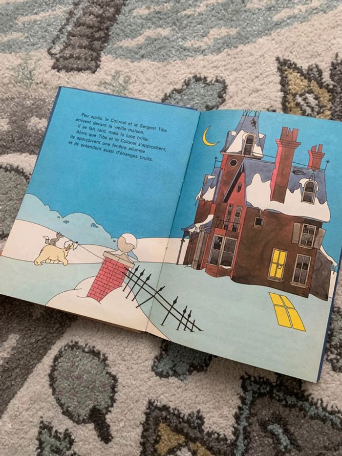 Livre "Lucky et les bijoux de la reine" 📚 - photo numéro 3